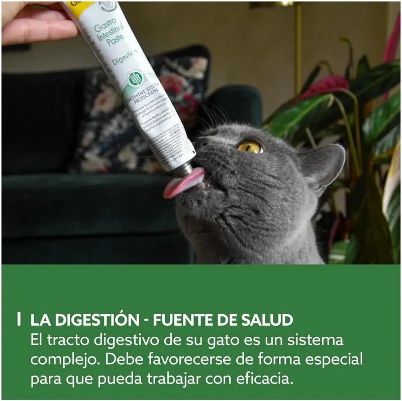GimCat EXPERT LINE Gastro intestinal, pasta funcional para gatos - proteção do sistema digestivo, favorece a saúde intestinal, tem um efeito prebiótico - 1 tubo (1 x 50 g)