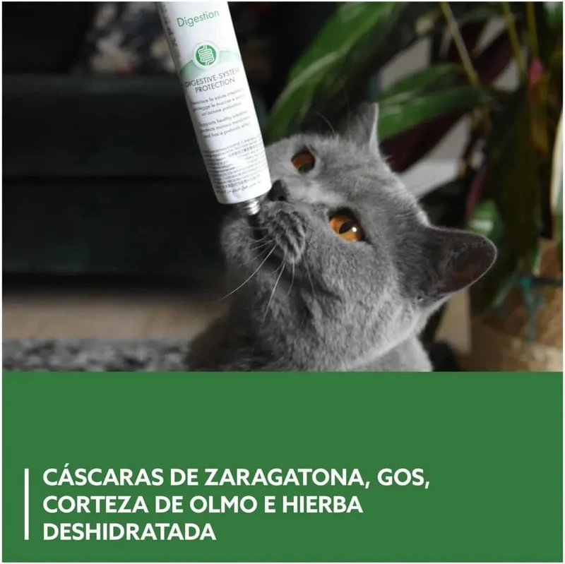 GimCat EXPERT LINE Gastro intestinal, pasta funcional para gatos - proteção do sistema digestivo, favorece a saúde intestinal, tem um efeito prebiótico - 1 tubo (1 x 50 g)