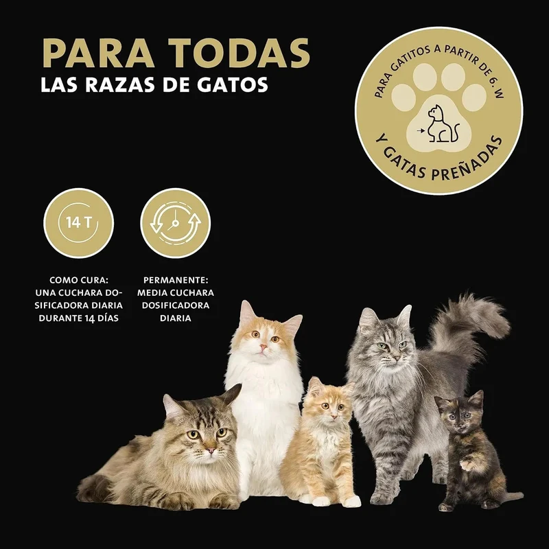 Desparasitante antiparasitário para gatos, pó de ervas, 100% natural com curcuma e tomilho contra vermes intestinais, higiene intestinal (Peticare)