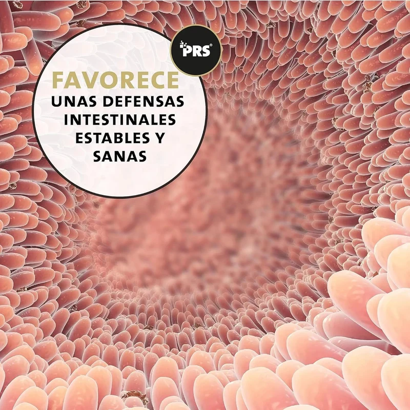 Desparasitante antiparasitário para gatos, pó de ervas, 100% natural com curcuma e tomilho contra vermes intestinais, higiene intestinal (Peticare)