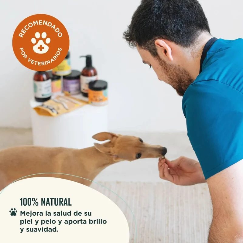 Wolf Belly Cápsulas óleo de peixe para cães e gatos, 100% natural (60 cápsulas) Ômega 3 cães, anti-inflamatório para cães, pele mais saudável e brilhante, óleo de sardinhas para gatos