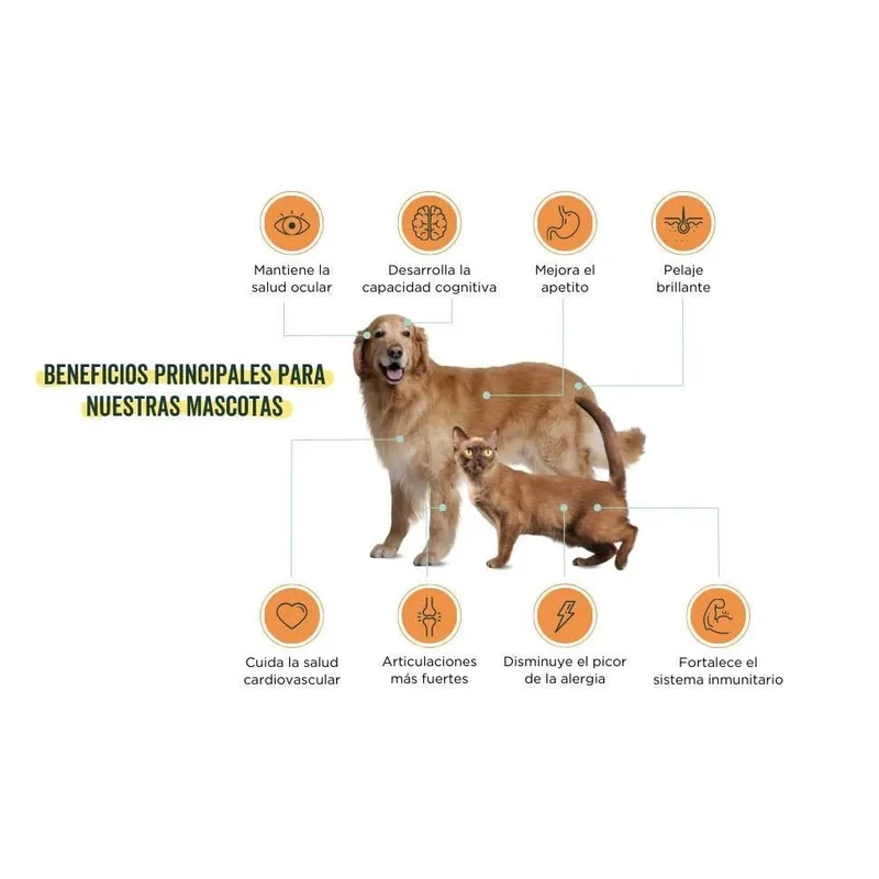 Wolf Belly Cápsulas óleo de peixe para cães e gatos, 100% natural (60 cápsulas) Ômega 3 cães, anti-inflamatório para cães, pele mais saudável e brilhante, óleo de sardinhas para gatos