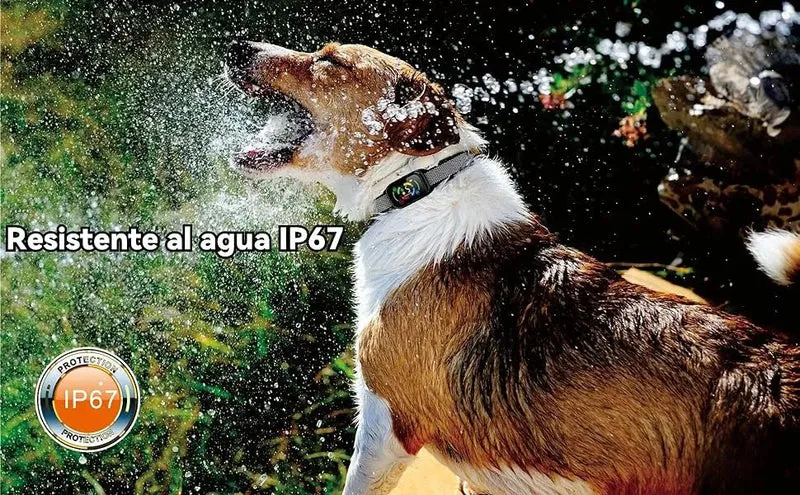 Coleira anti-latidos, vibratória, automática para cães, deteção inteligente de latidos com 3 modos de vibração, som e forte vibração, sensibilidade ajustável, resistente à água e recarregável