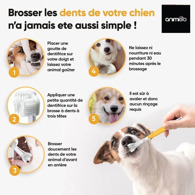 Kit Pasta Dentífrica para Cães 2x100 gramas Sabor a Menta + Escova de dentes 3 cabeças + 1 Dedeira - Anti Tártaro, Anti Mau Hálito - Cuidado orail para cães