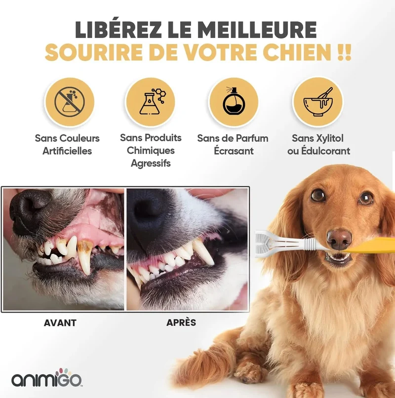 Kit Pasta Dentífrica para Cães 2x100 gramas Sabor a Menta + Escova de dentes 3 cabeças + 1 Dedeira - Anti Tártaro, Anti Mau Hálito - Cuidado orail para cães