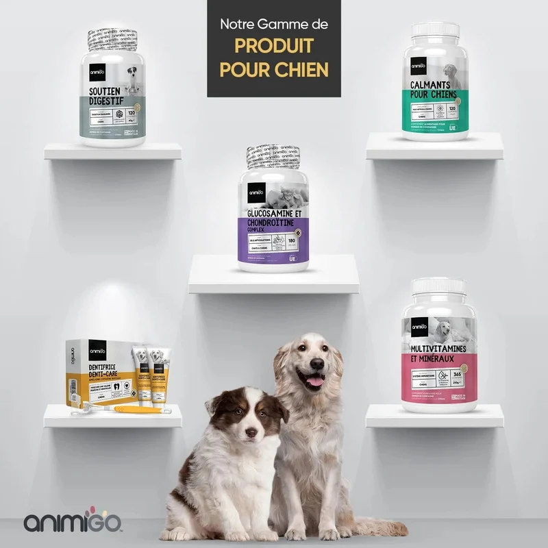 Kit Pasta Dentífrica para Cães 2x100 gramas Sabor a Menta + Escova de dentes 3 cabeças + 1 Dedeira - Anti Tártaro, Anti Mau Hálito - Cuidado orail para cães