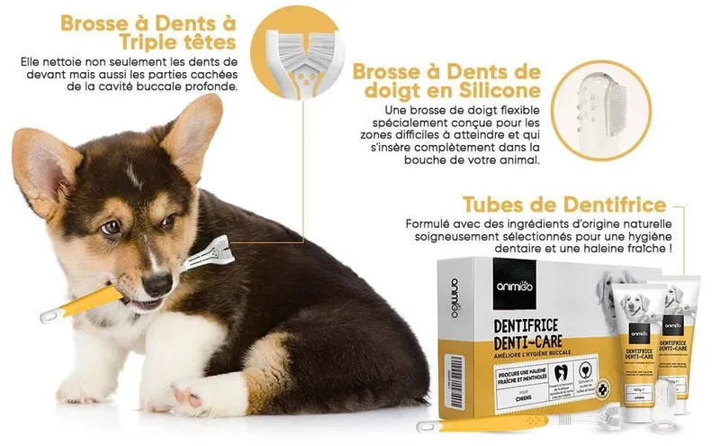 Kit Pasta Dentífrica para Cães 2x100 gramas Sabor a Menta + Escova de dentes 3 cabeças + 1 Dedeira - Anti Tártaro, Anti Mau Hálito - Cuidado orail para cães