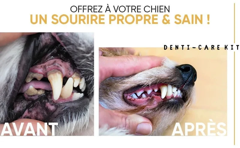 Kit Pasta Dentífrica para Cães 2x100 gramas Sabor a Menta + Escova de dentes 3 cabeças + 1 Dedeira - Anti Tártaro, Anti Mau Hálito - Cuidado orail para cães
