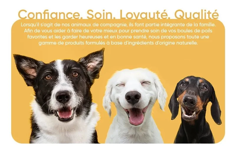 Kit Pasta Dentífrica para Cães 2x100 gramas Sabor a Menta + Escova de dentes 3 cabeças + 1 Dedeira - Anti Tártaro, Anti Mau Hálito - Cuidado orail para cães