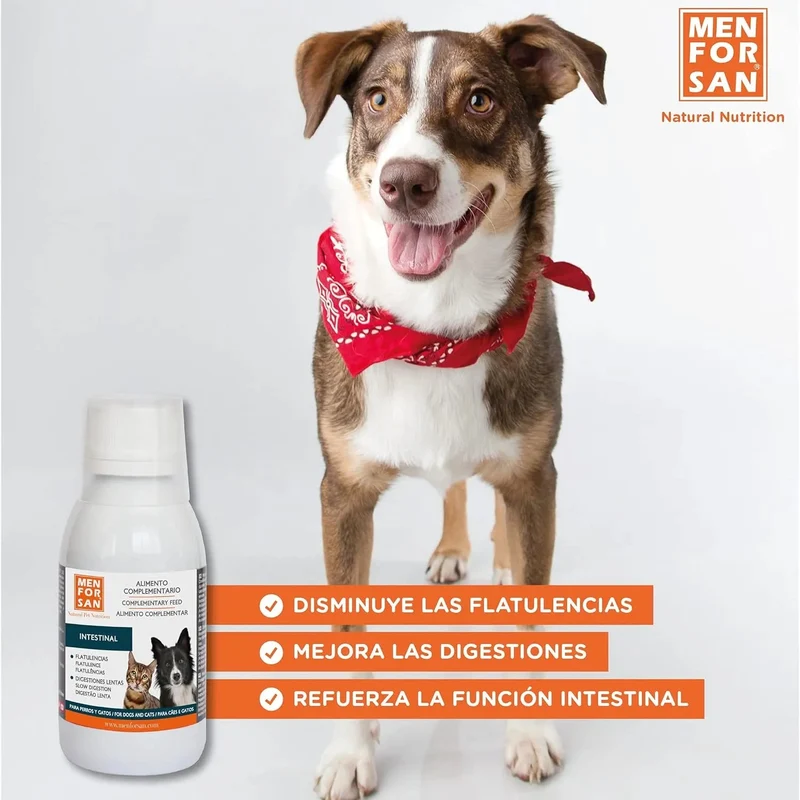 MENFORSAN INTESTINOS Alimento complementar líquido para cães e gatos com problemas intestinais | Melhora as digestões | Evita parasitas internos | 120 ml