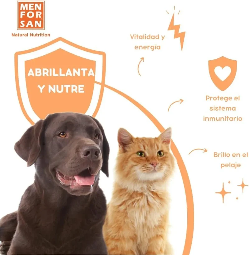 MENFORSAN Óleo de salmão para cães e gatos, otimiza o sistema imunitário, fortalece as articulações e os ossos | Reduz problemas de pele, 500 ml