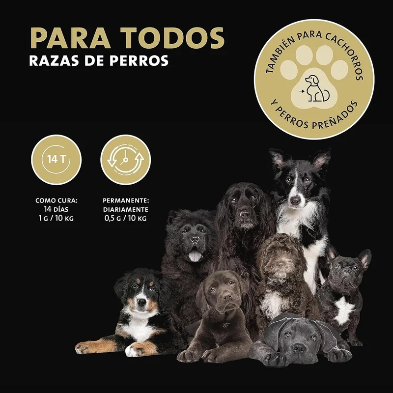 Desparasitante interno - antiparasitas para cães, 100% natural, com curcuma e tomilho, contra vermes interestinais - Peticare