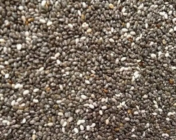 Chiasamen 1 kg Floralia