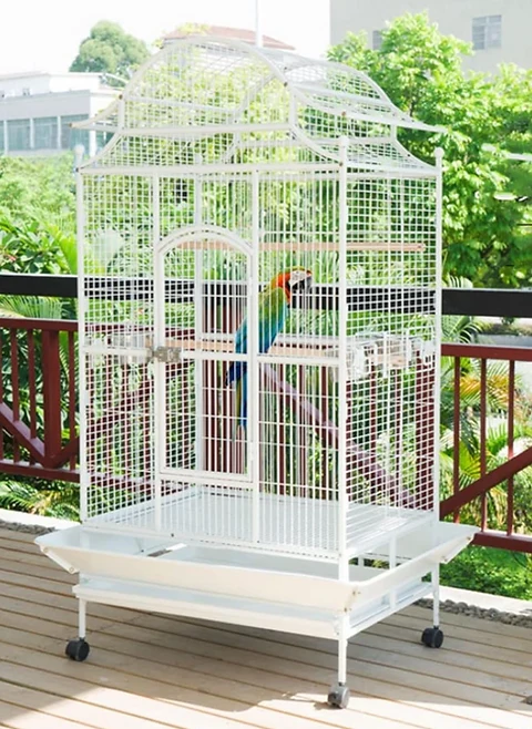 Parrot Cage Villa (nur Abholung oder Transport mit Auto oder Van)