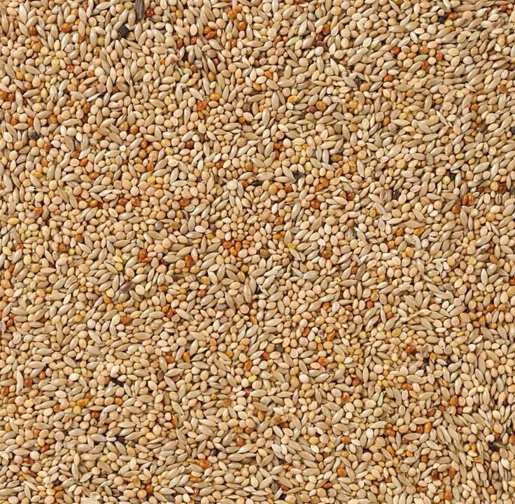 Exotenvögel Standard - 1kg ungeschält - Vogelfutter