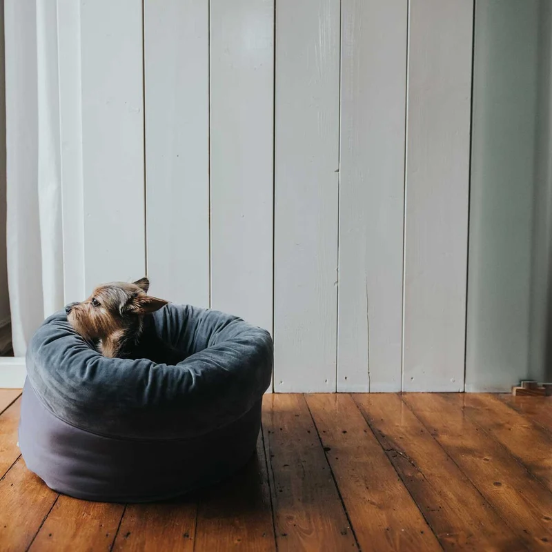 Bett Hund/Katze Miranda Polyester anthrazit