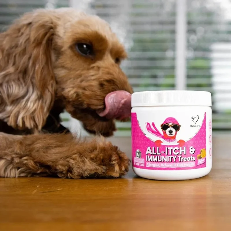 NutriPaw Tratamentos imunitários para cães, acalmar a comichão das patas, olhos, orelhas, pele, pára de morder, lamber, arranhões, perfeito para cães pequenos, médios e grandes