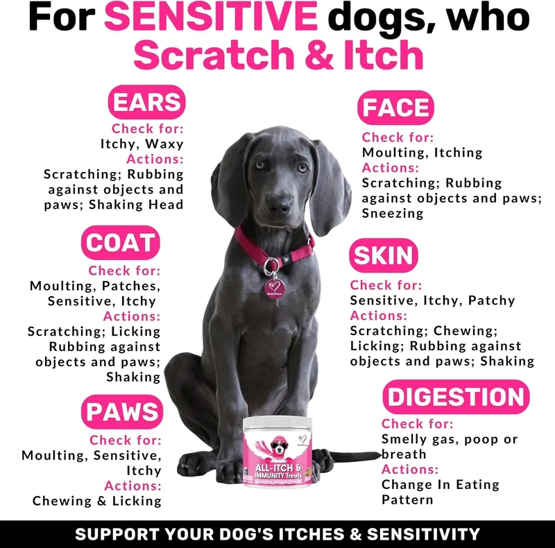 NutriPaw Tratamentos imunitários para cães, acalmar a comichão das patas, olhos, orelhas, pele, pára de morder, lamber, arranhões, perfeito para cães pequenos, médios e grandes