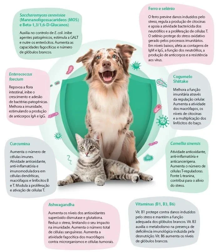 WeMuno Suporte do Sistema Imunitário em Cães e Gatos