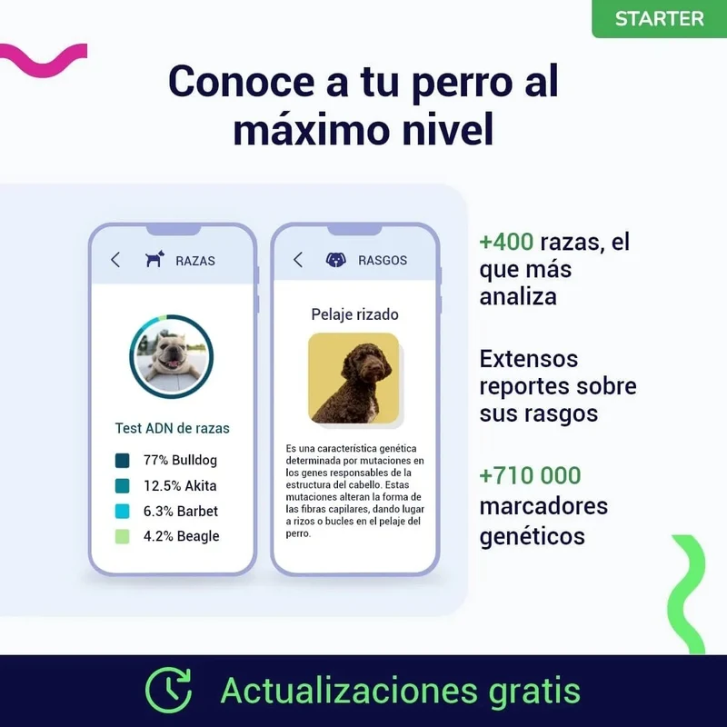Teste DNA para Cães Starter - (Relatórios de raças e características) - atualizações sem custo