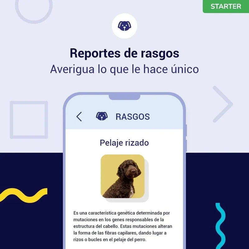 Teste DNA para Cães Starter - (Relatórios de raças e características) - atualizações sem custo