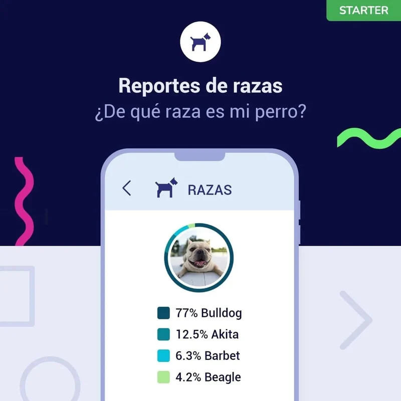Teste DNA para Cães Starter - (Relatórios de raças e características) - atualizações sem custo