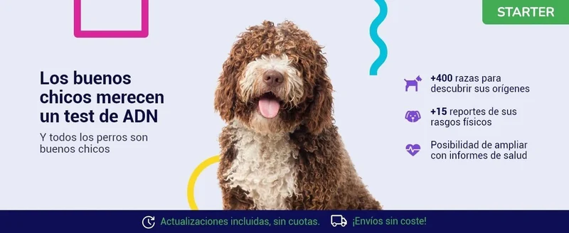 Teste DNA para Cães Starter - (Relatórios de raças e características) - atualizações sem custo