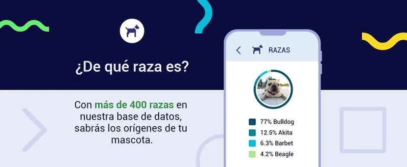 Teste DNA para Cães Starter - (Relatórios de raças e características) - atualizações sem custo