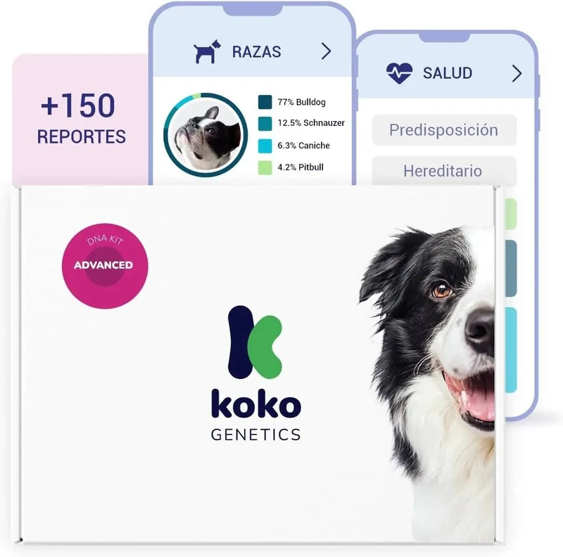 Teste DNA para Cães Advanced - (+ 150 relatórios de corrida, saúde e traços) - atualizações sem custo