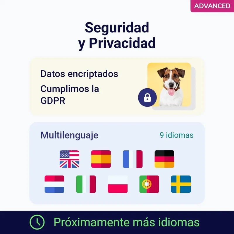 Teste DNA para Cães Advanced - (+ 150 relatórios de corrida, saúde e traços) - atualizações sem custo