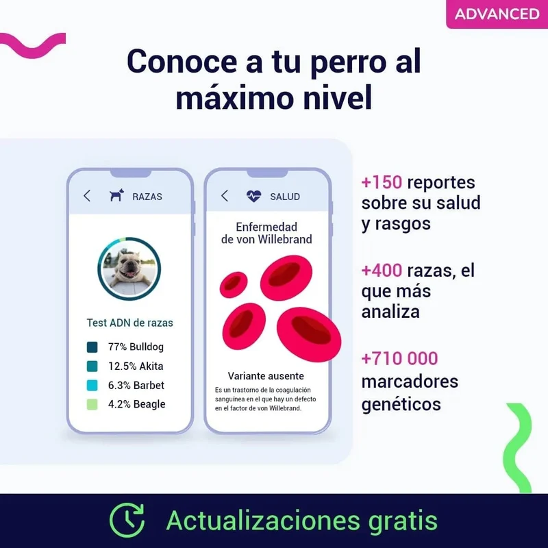 Teste DNA para Cães Advanced - (+ 150 relatórios de corrida, saúde e traços) - atualizações sem custo