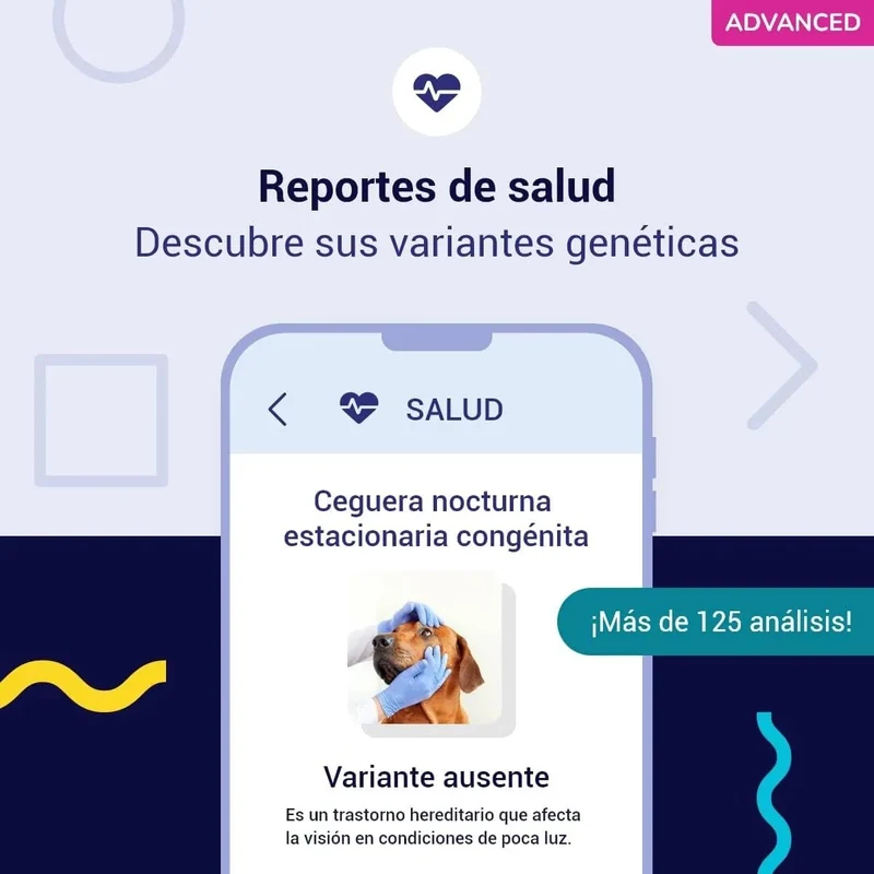 Teste DNA para Cães Advanced - (+ 150 relatórios de corrida, saúde e traços) - atualizações sem custo