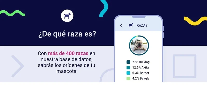 Teste DNA para Cães Advanced - (+ 150 relatórios de corrida, saúde e traços) - atualizações sem custo