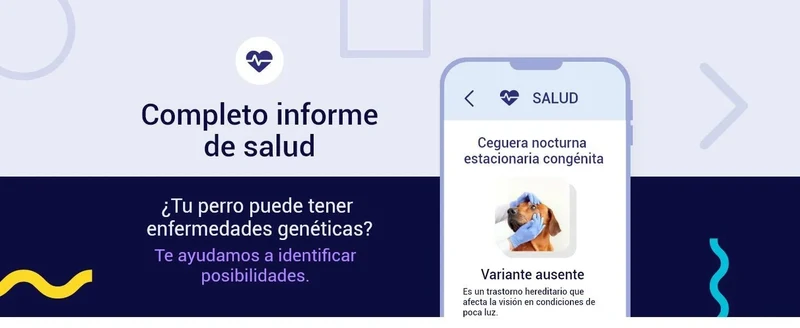 Teste DNA para Cães Advanced - (+ 150 relatórios de corrida, saúde e traços) - atualizações sem custo