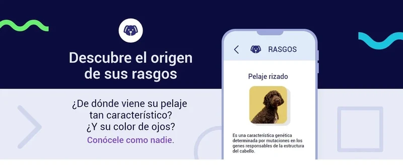 Teste DNA para Cães Advanced - (+ 150 relatórios de corrida, saúde e traços) - atualizações sem custo