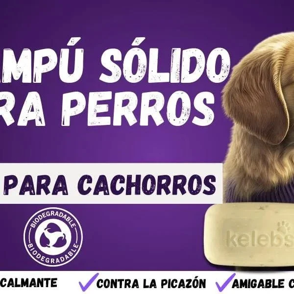 Kelebs Anticomichão | champô sólido para cães, para pele sensível e dermatite | anti-comichão com óleo de lavanda calmante, conjunto de 3 barras, sabão natural BIO e vegano