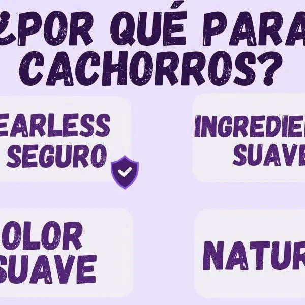 Kelebs Anticomichão | champô sólido para cães, para pele sensível e dermatite | anti-comichão com óleo de lavanda calmante, conjunto de 3 barras, sabão natural BIO e vegano