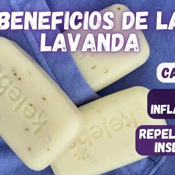 Kelebs Anticomichão | champô sólido para cães, para pele sensível e dermatite | anti-comichão com óleo de lavanda calmante, conjunto de 3 barras, sabão natural BIO e vegano