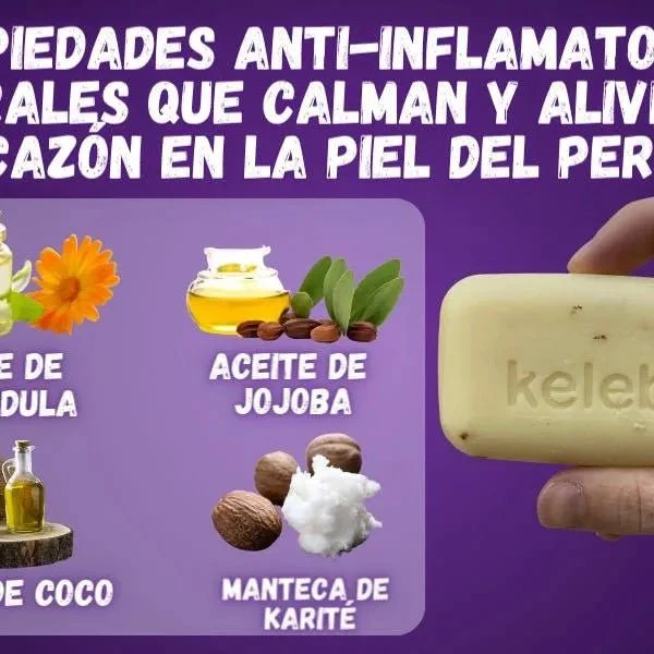 Kelebs Anticomichão | champô sólido para cães, para pele sensível e dermatite | anti-comichão com óleo de lavanda calmante, conjunto de 3 barras, sabão natural BIO e vegano