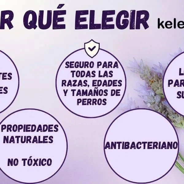 Kelebs Anticomichão | champô sólido para cães, para pele sensível e dermatite | anti-comichão com óleo de lavanda calmante, conjunto de 3 barras, sabão natural BIO e vegano