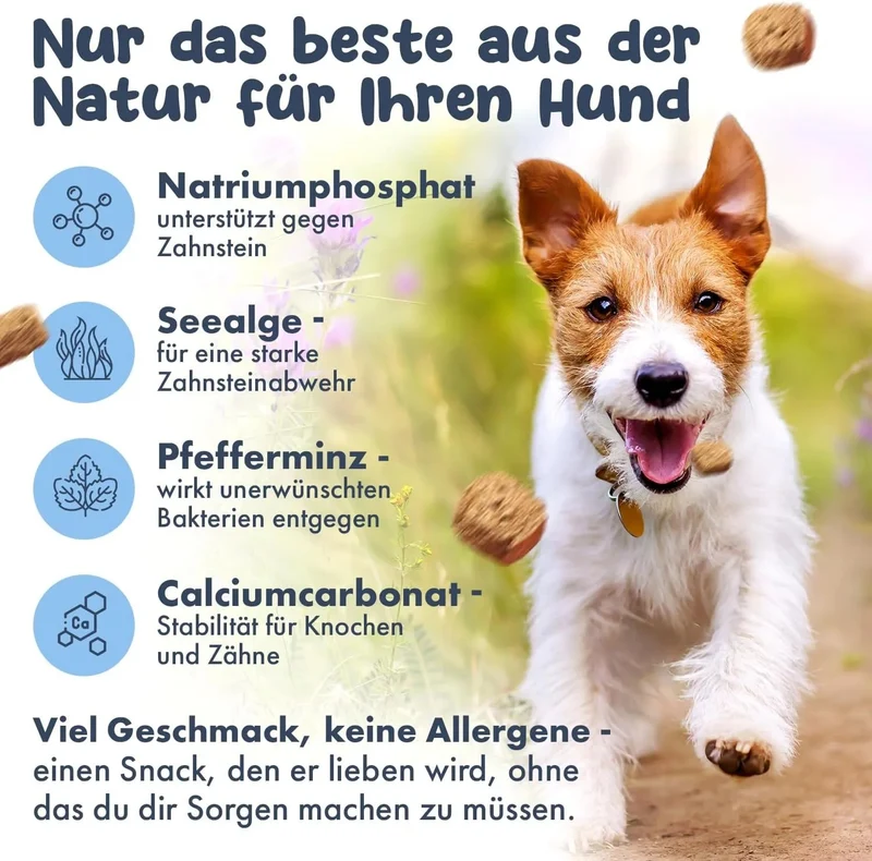Hello Jack Limpeza natural para mau hálito de cães - até 4 meses de fornecimento - limpa os dentes e ajuda a eliminar o mau hálito do cão - evita o tártaro