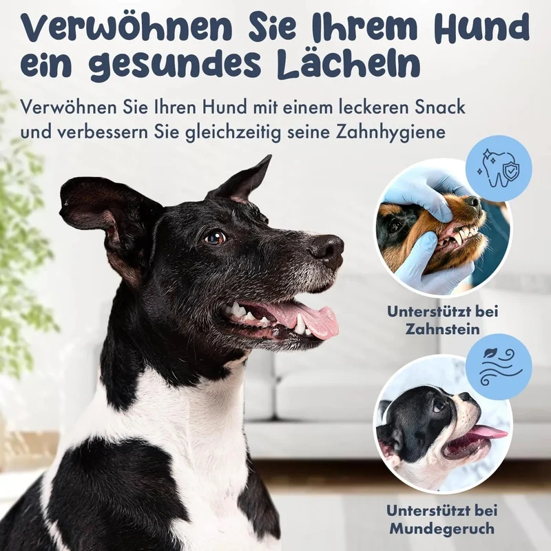 Hello Jack Limpeza natural para mau hálito de cães - até 4 meses de fornecimento - limpa os dentes e ajuda a eliminar o mau hálito do cão - evita o tártaro