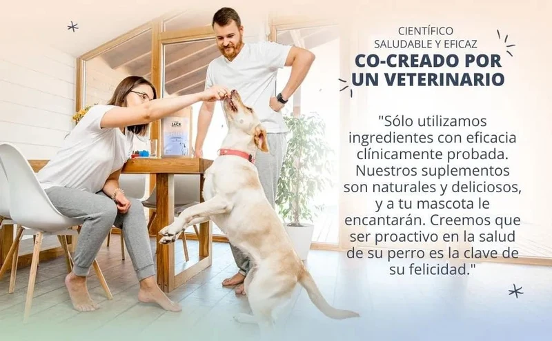 Hello Jack Óleo de salmão para cães - salmão para pêlo brilhante e saudável, Ômega 3 - reduz a dermatite e a comichão, 100% natural