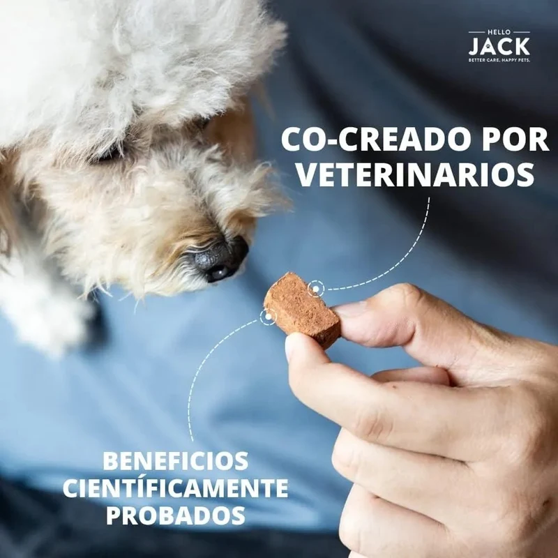 Hello Jack Suplemento para cão mobilidade / movimento (200 g) - para articulações e ossos para cães - condroprotetor cães com mexilhões de lábios verdes, glucosamina, condroitina, açafrão & ômega 3