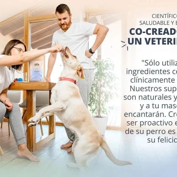 Hello Jack Suplemento para cão mobilidade / movimento (200 g) - para articulações e ossos para cães - condroprotetor cães com mexilhões de lábios verdes, glucosamina, condroitina, açafrão & ômega 3