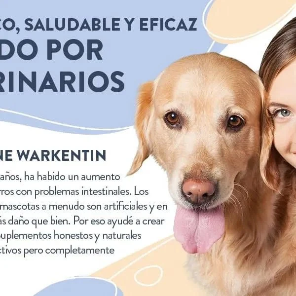 Hello Jack Digest Suplemento para cães - Guloseimas mastigáveis para cães para digestão, saúde intestinal e consistência das fezes - sabor de manteiga de amendoim