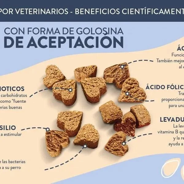 Hello Jack Digest Suplemento para cães - Guloseimas mastigáveis para cães para digestão, saúde intestinal e consistência das fezes - sabor de manteiga de amendoim