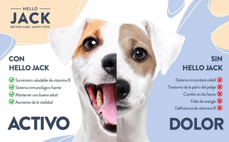 Hello Jack Protect Suplemento diário para cães - guloseimas misturáveis para apoio imunológico, vitalidade e saúde em geral - sabor de manteiga de amendoim