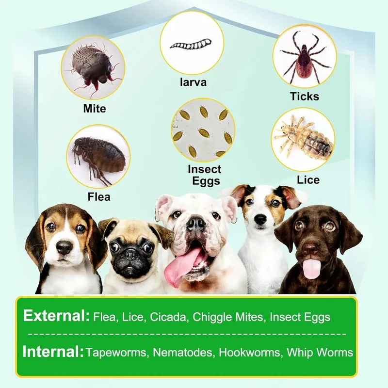 Prevenção de pulgas e carraças para cães, suplemento natural para o controlo de pulgas e carraças de cães, pílulas orais fáceis de usar, proteção contra pragas