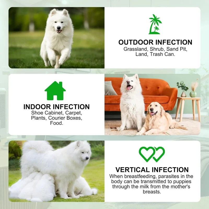 Prevenção de pulgas e carraças para cães, suplemento natural para o controlo de pulgas e carraças de cães, pílulas orais fáceis de usar, proteção contra pragas